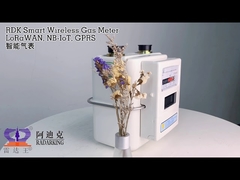 Smart Gas Meter